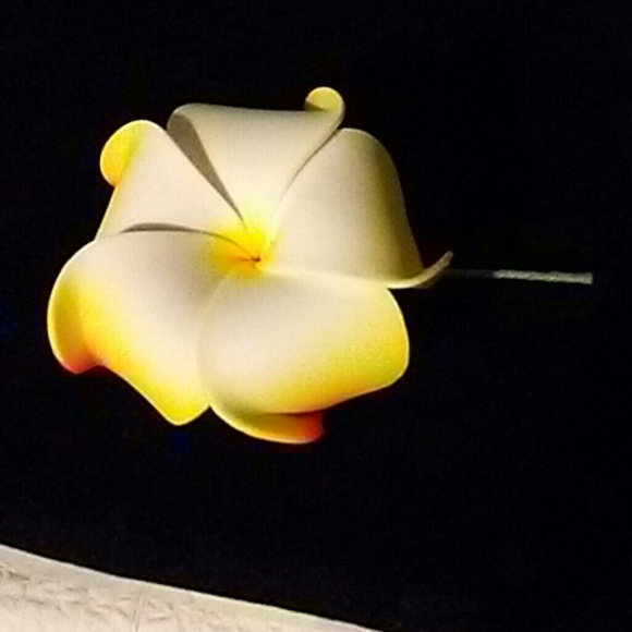 foamposites with flowers